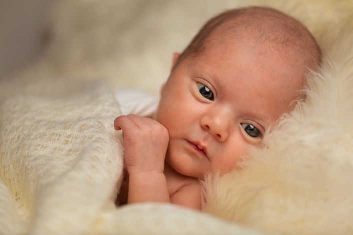 Newborn shoot babygirl, Kapellen, België